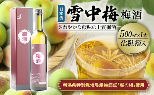 雪中梅 梅酒 500ml 化粧箱入｜酒 お酒 贈答 プレゼント 贈り物 おすすめ ふるさと納税 人気 新潟 新潟県産 にいがた 上越 上越産