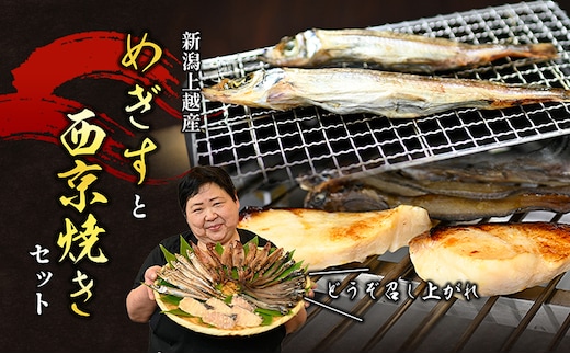 メギスと旬魚の西京漬けセット メギス 旬魚 魚 西京漬け 西京漬 セット 干物 海産物 個装包装 新潟県 上越市