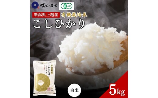 米 【令和7年産】 新潟県上越産 有機栽培米 コシヒカリ 【白米】 5kg 5キロ お米 こめ 白米 食品 人気 おすすめ にいがた 上越 上越産