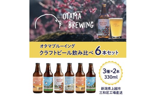 クラフトビール 飲み比べ 6本 セット 新潟県上越市 330ml 定番4種から3種×2本 工場直送 ビール