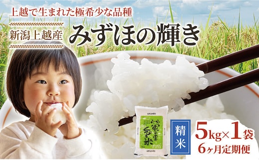 令和8年産 先行予約 新潟県産 みずほの輝き 5kg×6回 6か月 定期便 30kg 30キロ 米 精米 新米予約 おすすめ