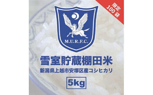 令和7年 新潟県産 コシヒカリ 雪むろ 棚田米 5kg 5キロ 白米 新米 明治大学ラグビー部 安塚 雪室 こめ 新潟 上越 上越市