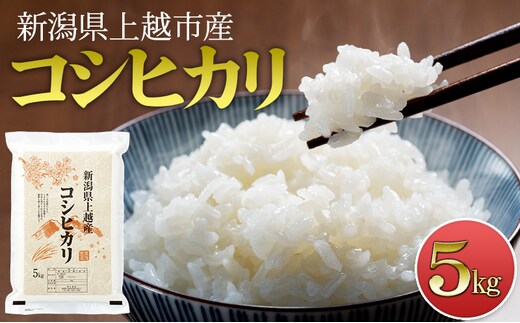 先行予約 令和8年産 新潟県上越市産 コシヒカリ 5kg 米 こしひかり ご飯 精米 お米 新潟 橋本農場