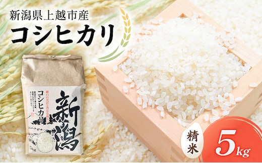 新米 令和7年 新潟県上越市産 コシヒカリ（特別栽培米） 5kg 5キロ 米 こしひかり 山本農園 ご飯 精米 新潟 上越