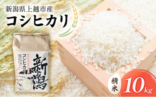 新米 令和7年 新潟県上越市産 コシヒカリ（特別栽培米） 10kg 10キロ 米 こしひかり 山本農園 ご飯 精米 新潟 上越