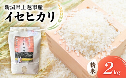 令和7年 新潟県上越市産 奇跡のお米 イセヒカリ 2kg 2キロ 米 お米 いせひかり 山本農園 ご飯 精米 新潟 上越