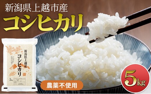 先行予約 令和8年産 新潟県上越市産 栽培期間中 農薬不使用 コシヒカリ 5kg 精米 米 橋本農場
