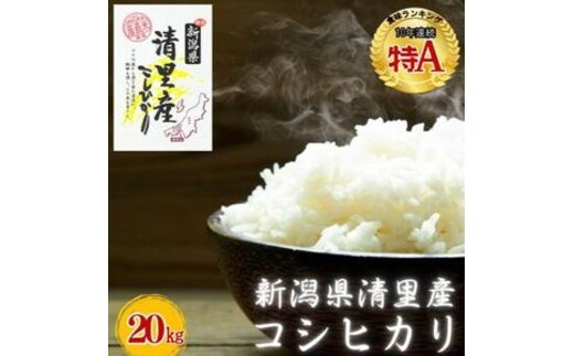 令和8年（新米） 新潟県 清里産コシヒカリ 20kg 20キロ（5kg×4袋） 真空パックこしひかり精米 上越市 グリーンファーム清里
