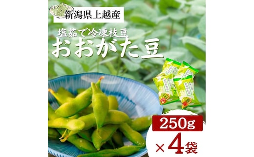 塩茹で 冷凍 枝豆 おおがた豆 1kg 茶豆 えだまめ 濃厚な甘みと香り おつまみ 国産 新潟県 上越市産 送料無料