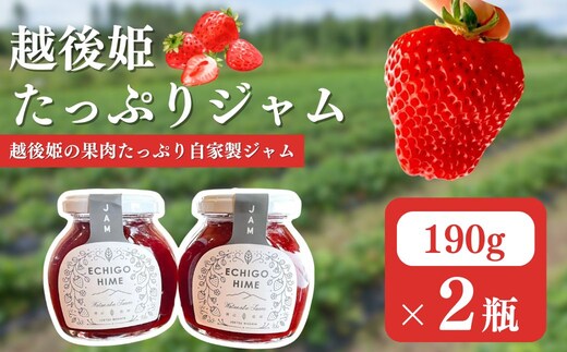 越後姫 ジャム2個入り イチゴ 苺 ジャム 上越市 新潟