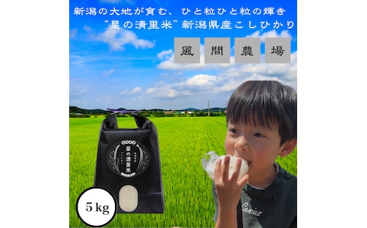 【10月中旬より順次出荷】令和7年度産 新潟県上越市産 従来コシヒカリ 精米済5kg こしひかり お米 米 精米 新潟県 上越市