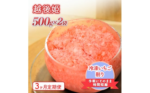 削りいちこ゛越後姫500g×2袋 3ヶ月定期便 冷凍 イチゴ 苺 果物 フルーツ 新潟