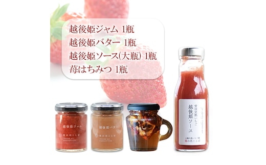 越後姫ジャム1瓶、越後姫バター1瓶、越後姫ソース（大瓶） 1瓶、苺はちみつ（取手付き）1瓶 いちご イチゴ 苺 加工品 お取り寄せ 新潟