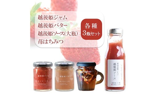 越後姫ジャム・バター・ソース（大瓶）・苺はちみつ（取手付き）各種3瓶セット いちご イチゴ 苺 加工品 お取り寄せ 新潟