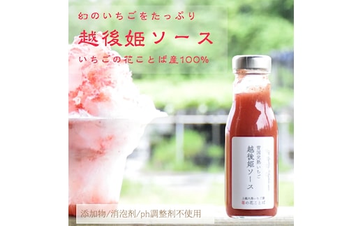 越後姫ソース（大瓶） 3瓶 いちご イチゴ 苺 加工品 お取り寄せ 新潟