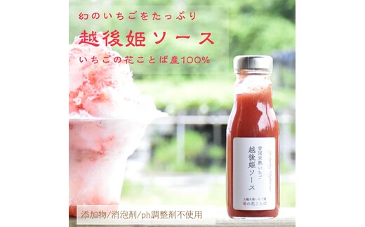 越後姫ソース（大瓶） 5瓶 いちご イチゴ 苺 加工品 お取り寄せ 新潟