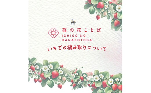 いちご摘み取り3kgまで体験券 お土産付き いちご イチゴ 苺 加工品 お取り寄せ 新潟