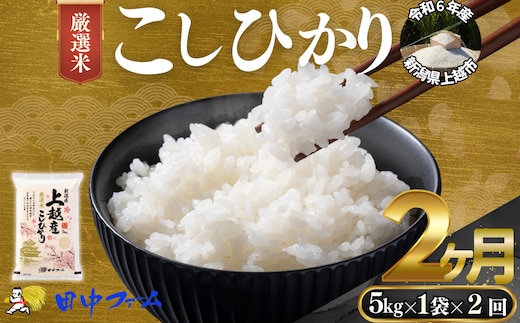 上越市産 新潟 特別米コシヒカリ 5kg 2か月定期便 上越市 精米 米 コメ こしひかり ブランド米
