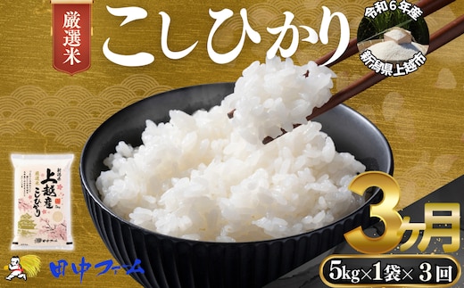 上越市産 新潟 特別米コシヒカリ 5kg 3か月定期便 上越市 精米 米 コメ こしひかり ブランド米