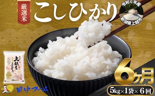 上越市産 新潟 特別米コシヒカリ 5kg 6か月定期便 上越市 精米 米 コメ こしひかり ブランド米