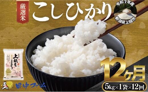 上越市産 新潟 特別米コシヒカリ 5kg 12か月定期便 上越市 精米 米 コメ こしひかり ブランド米