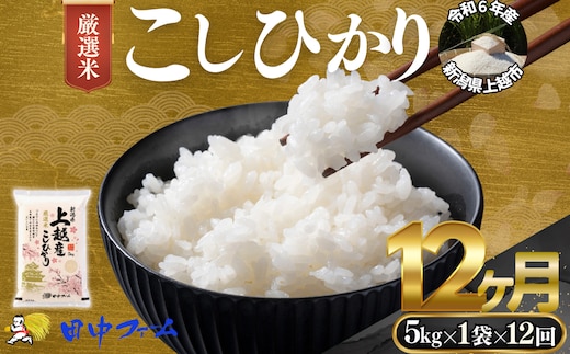 上越市産 新潟 特別米コシヒカリ 5kg 12か月定期便 上越市 精米 米 コメ こしひかり ブランド米