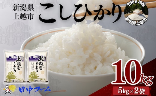 上越市産 新潟 コシヒカリ 5kg×2 上越市 精米 米 コメ こしひかり ブランド米