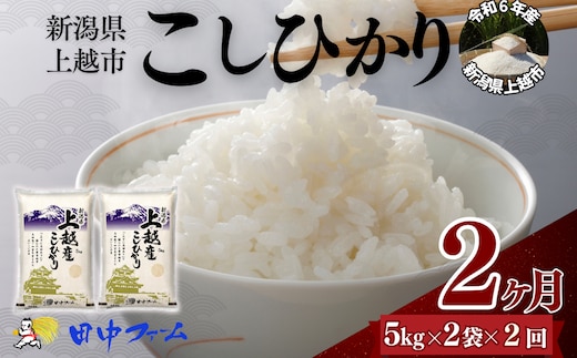 上越市産 新潟 コシヒカリ 5kg×2 2か月定期便 上越市 精米 米 コメ こしひかり ブランド米