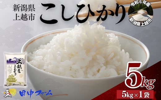 上越市産 新潟 コシヒカリ 5kg 上越市 精米 米 コメ こしひかり ブランド米