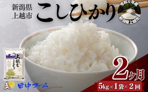 上越市産 新潟 コシヒカリ 5kg 2か月定期便 上越市 精米 米 コメ こしひかり ブランド米