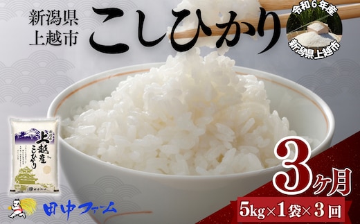 上越市産 新潟 コシヒカリ 5kg 3か月定期便 上越市 精米 米 コメ こしひかり ブランド米