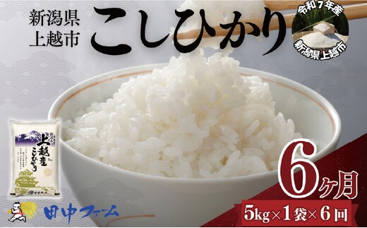 上越市産 新潟 コシヒカリ 5kg 6か月定期便 上越市 精米 米 コメ こしひかり ブランド米