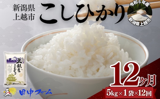 上越市産 新潟 コシヒカリ 5kg 12か月定期便 上越市 精米 米 コメ こしひかり ブランド米