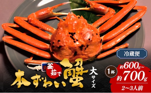 本ずわい蟹 大サイズ 約600g～700g×1杯 (2～3人前) カニ 蟹 釜茹で 冷蔵 新潟県 上越市