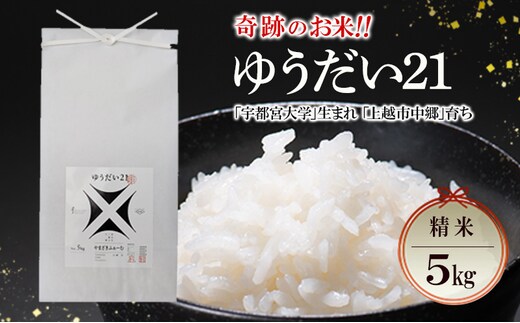 新米 令和7年 新潟県上越市産 ゆうだい21 5kg 5キロ 奇跡のお米 宇都宮大学生まれ 中郷 やまざきふぁーむ 送料無料