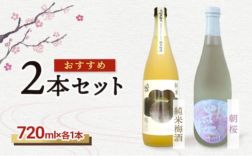 【おすすめ2本セット】朝桜｜純米梅酒 日本酒 梅酒