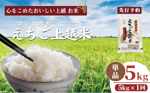 令和7年 新米 新潟県産コシヒカリ えちご上越米 5kg 新潟 米 新潟県 こしひかり 限定 おすすめ