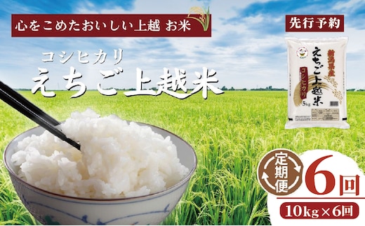 令和7年 新米 新潟県産コシヒカリ えちご上越米 定期便 【6ヶ月連続お届け】10kg×6回 60kg 新潟 米 新潟県 こしひかり 限定 おすすめ