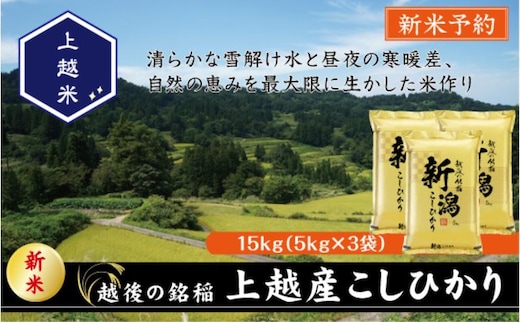 令和7年産 新潟県上越産こしひかり 精米 15kg 上越市 米 コメ コシヒカリ