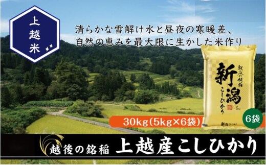 令和7年産 新潟県上越産こしひかり 精米 30kg 上越市 米 コメ コシヒカリ