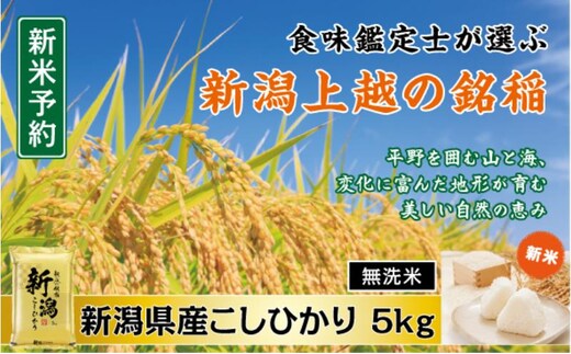 令和7年産 食味鑑定士厳選 新潟県産こしひかり 無洗米 5kg 上越市 米 コメ コシヒカリ