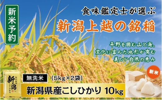 令和7年産 食味鑑定士厳選 新潟県産こしひかり 無洗米 10kg 上越市 米 コメ コシヒカリ
