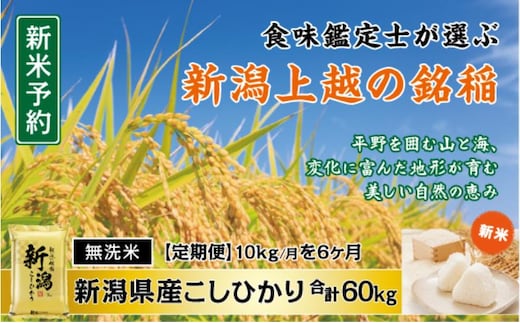 令和7年産 食味鑑定士厳選 新潟県産こしひかり 無洗米 10kg 6か月定期便 上越市 米 コメ コシヒカリ
