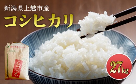 先行予約 令和8年産 新潟県上越市産 コシヒカリ 27kg 米 こしひかり ご飯 精米 お米 新潟 橋本農場