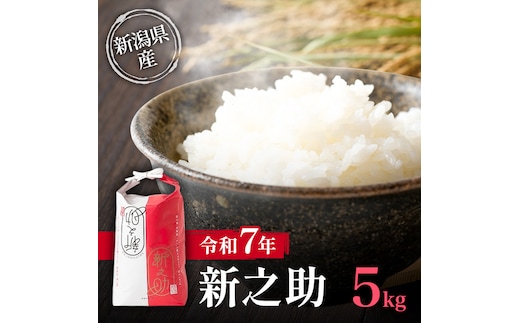 【10月中旬より順次出荷】令和7年 新潟県産 新之助 5kg 上越市清里区 新潟 精米 従来品種 希少 限定