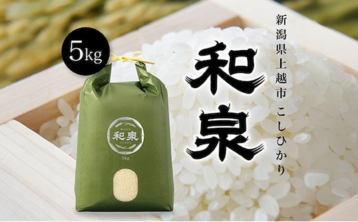 新米 令和7年 新潟県上越産 こしひかり『和泉』5kg 5キロ 上越市 精米 米 ギフト 喜ばれる