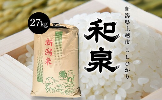 新米 令和7年 新潟県上越産 こしひかり『和泉』27kg 27キロ上越市 精米 米 ギフト 喜ばれる
