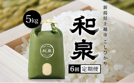 新米（定期便5kg×6回配送） 令和7年 新潟県上越産 こしひかり『和泉』5kg 5キロ 上越市 精米 米 ギフト 喜ばれる