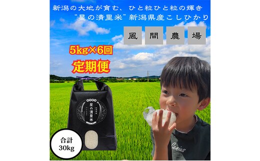 【定期便 | 5kg×6回 |計30kg】新米 令和7年 新潟県上越市産 従来コシヒカリ 精米済5kg×6回 5キロ こしひかり お米 米 精米 送料無料