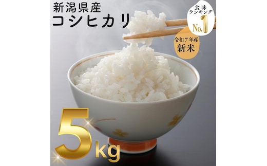 令和7年 新潟県産コシヒカリ 5kg 5キロ 白米 精米 送料無料 上越市 米ヴィレッジさんわ 低温貯蔵 品質管理徹底